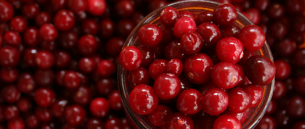 cranberry sauce recipe